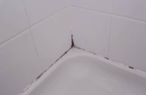 natural cleaner for mold and mildew in shower