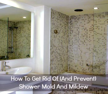 clean mildew from shower door