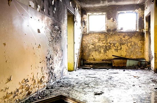 effects of prolonged exposure to black mold
