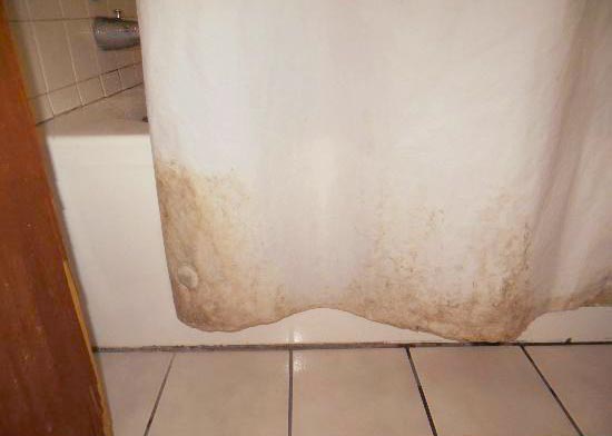 clean mold shower curtain liner