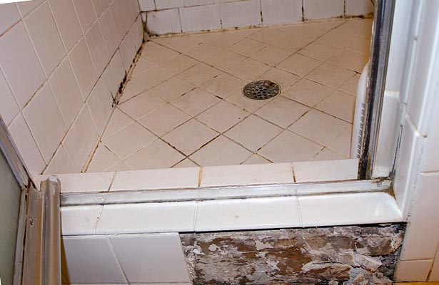 how to clean black mold from shower tile grout