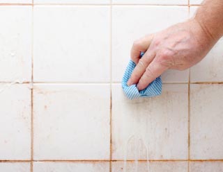 how to clean black mold in shower grout