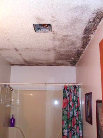 how to clean mold in shower