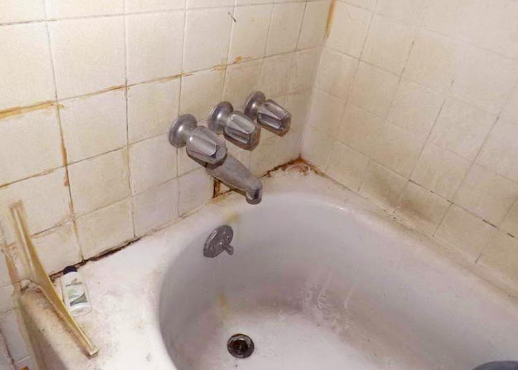 how to get rid of black mold in shower grout