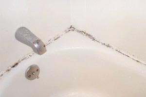 how to get rid of mildew in the shower