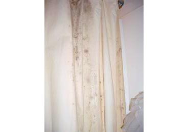 mould on shower curtains cleaning