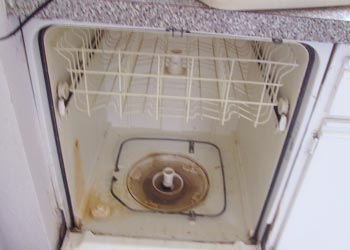 dishwasher mold problems