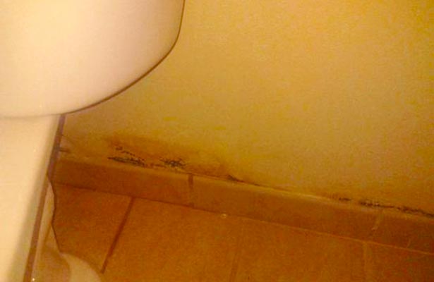 mold in toilet bowl tank