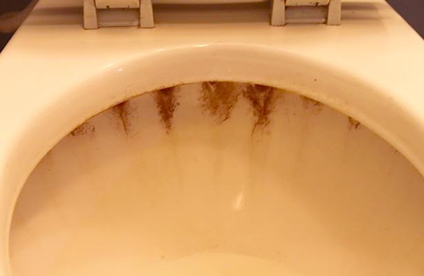 orange mold in toilet tank