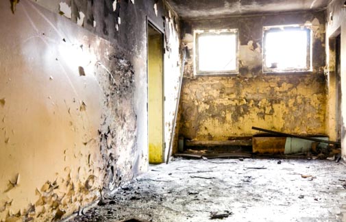 Health Issues and Effect Caused By Black Mold