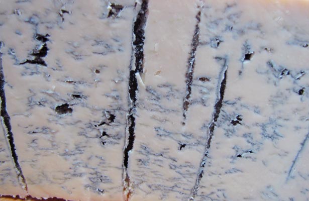 Mold On Gorgonzola Cheese