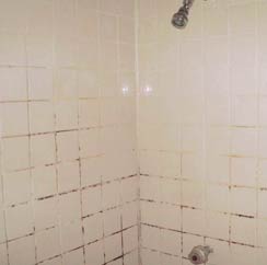 Clean Bathroom Grout From Mold