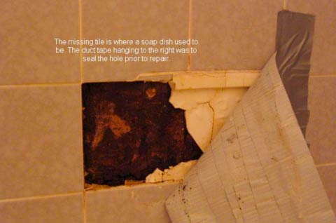 How To Clean and Get Rid Black Mold In Dangerous Bathroom