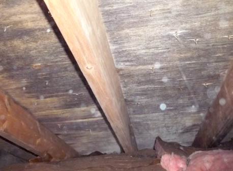 How To Remove Mold And Mildew From Attic