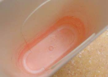 Pink Mold In Shower