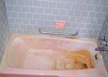 pink fungus in shower
