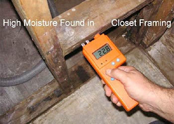 Mold Detector - The Features You Want