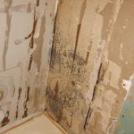 Mold Behind Shower Wall and Tiles Bathroom