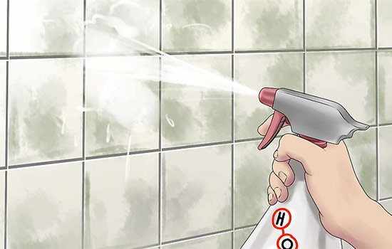 Remove Mold in Bathroom Walls and Ceiling