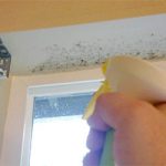 Removing Mold From Painted Walls