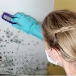 How to Get Rid of Mold on Walls: What to Do