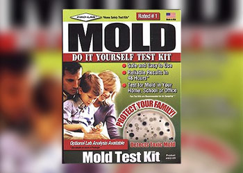 The Best Black Mold Test Kit For Home