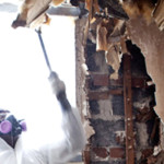 Mold Removal Toronto Cost