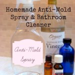 Bathroom Mold Removal Products