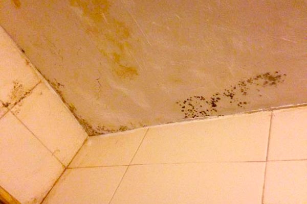 black mold in bathroom shower dangerous