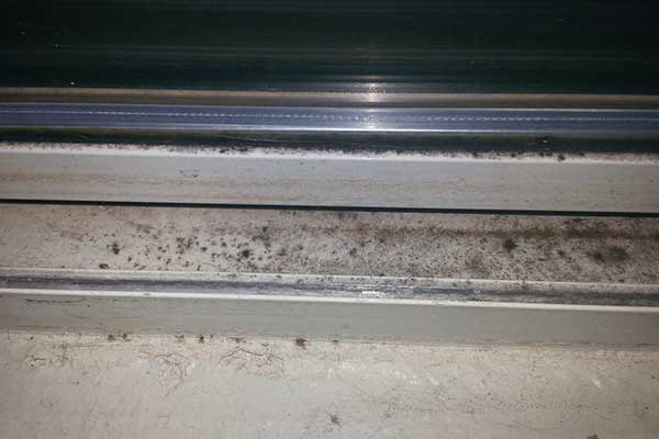 how to remove mold from windows