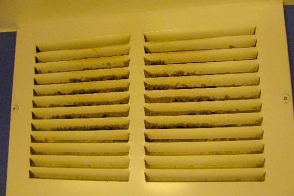 mold air vents
