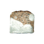 mold and food spoilage