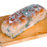 mold on bread ok to eat