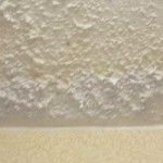 Remove Black mold on ceiling