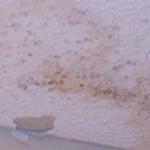 mold on ceiling in bathroom