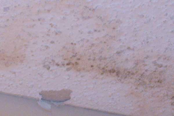 mold on ceiling in bathroom