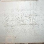 mold on walls in winter