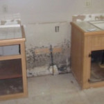 Mold Removal Products Canada