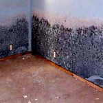 pictures of black mold in air ducts