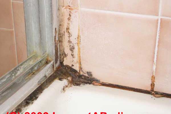 removing mold from bathroom walls