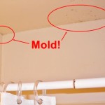 How to Get Rid of Mold in Home