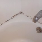 How to Get Rid of Mold in Shower