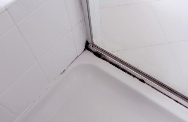 cleaning mold and mildew from shower grout