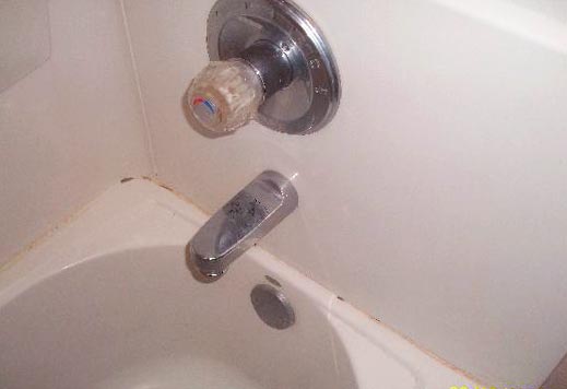 get rid of mold in tub
