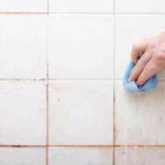 get rid of moldy towel smell