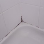 natural cleaner for mold and mildew in shower