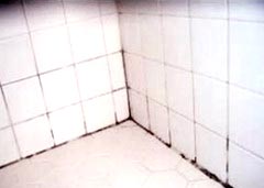 cleaning mold in shower grout