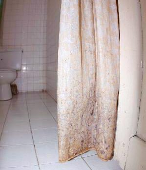 best mold resistant shower curtain liner