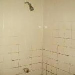 How To Clean Mildew and Black Mold From Shower Tile
