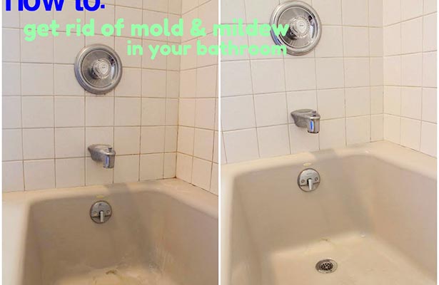 how to clean mold from shower